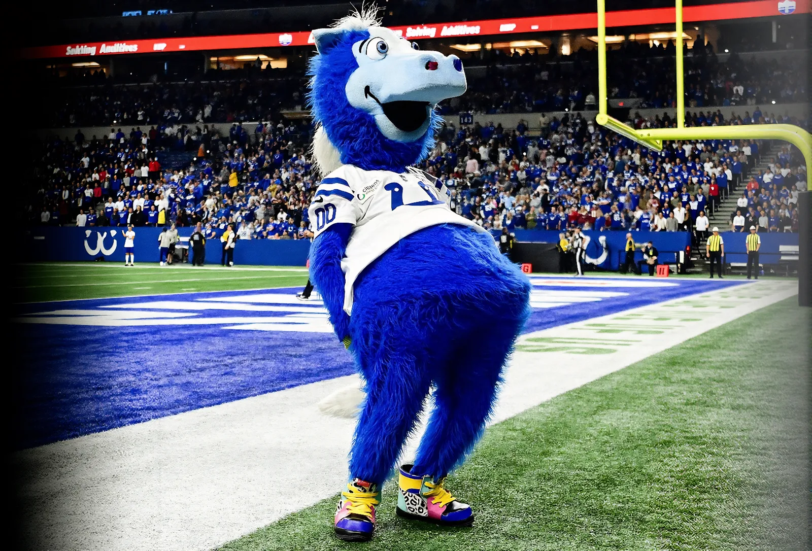 Physical IP — approved mascot photo